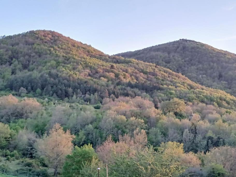 Bright Loft With Mountain And Nature View Sougraigne Екстер'єр фото