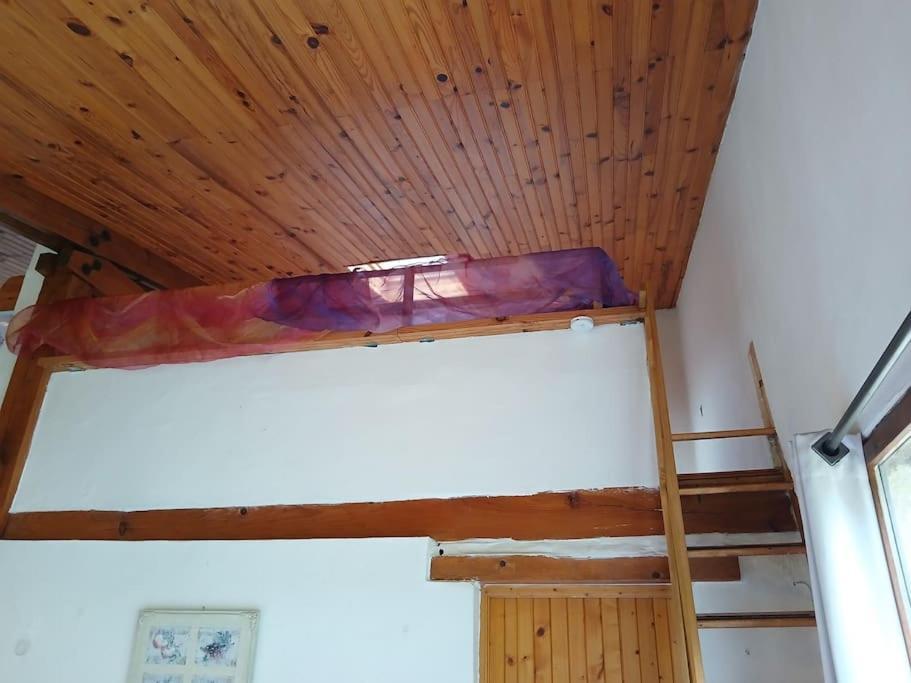 Bright Loft With Mountain And Nature View Sougraigne Екстер'єр фото