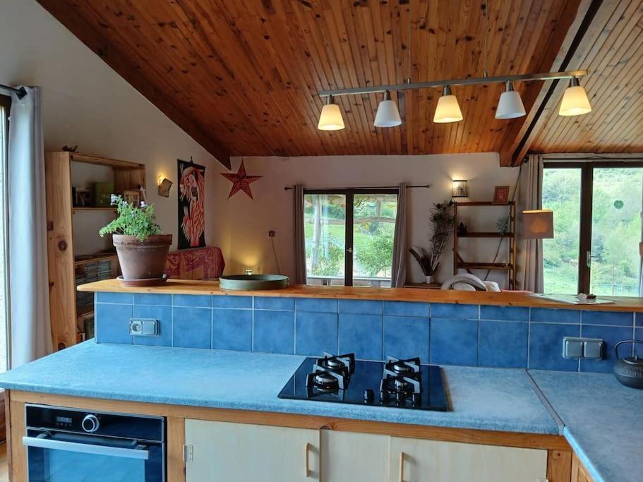 Bright Loft With Mountain And Nature View Sougraigne Екстер'єр фото